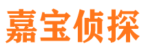 高唐侦探公司